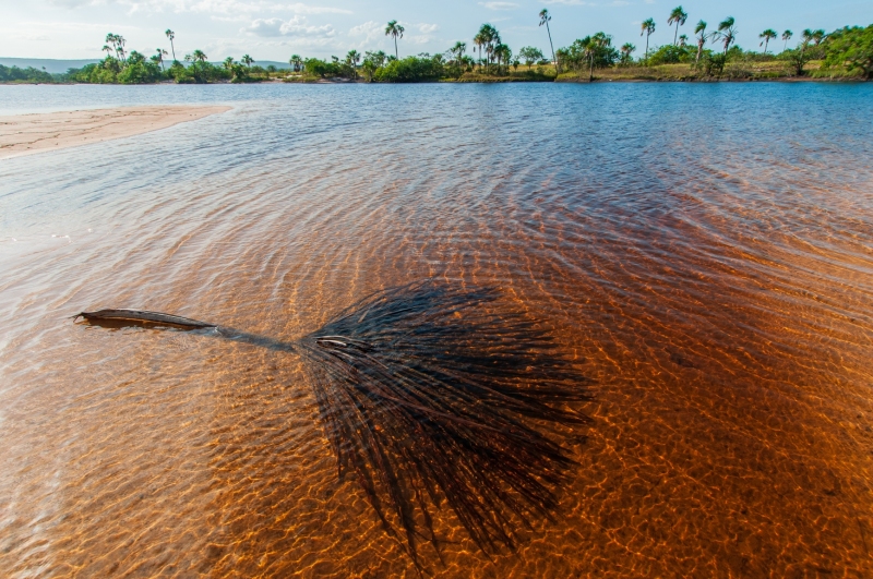 Canaima~Venezuela Vol.03